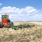 Aumento de la superficie de tierra destinada a la agricultura ecológica