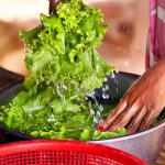 Seguridad alimentaria