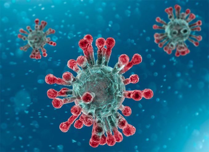 Transmisión del 2019-nCoV a través de los alimentos