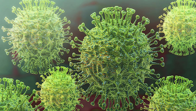 Coronavirus en los alimentos