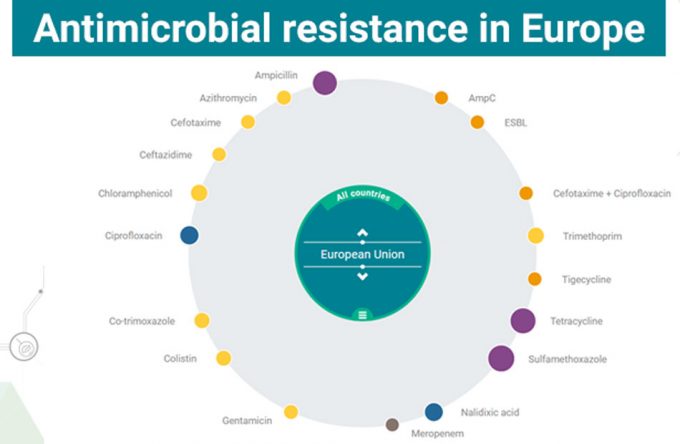 Estudio de la EFSA sobre la resistencia a los antibióticos en humanos, animales y alimentos