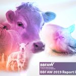 Business Benchmark on Farm Animal Welfare 2019