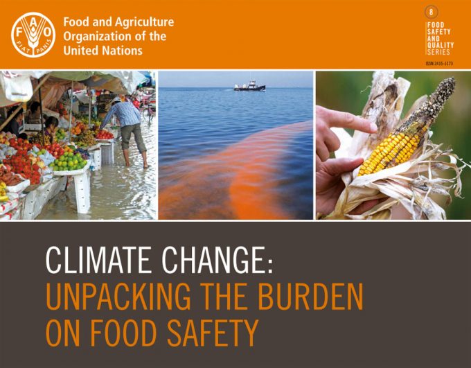 Cambio climático y seguridad alimentaria