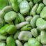 Proteínas de las habas