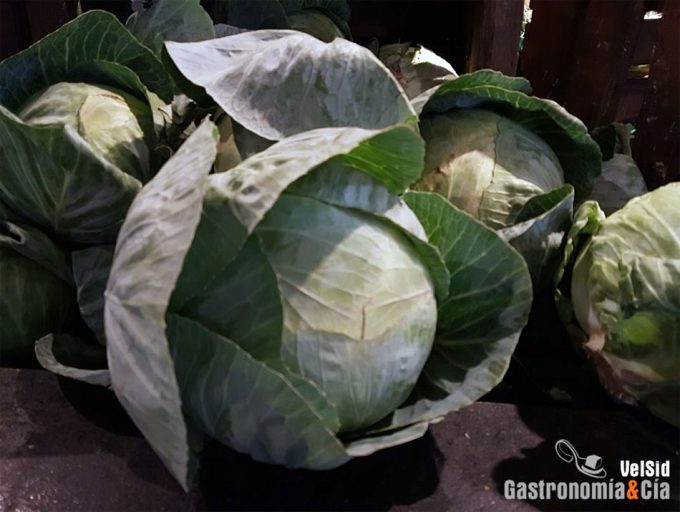 La diferencia de precio en el repollo alcanza el 782% IPOD