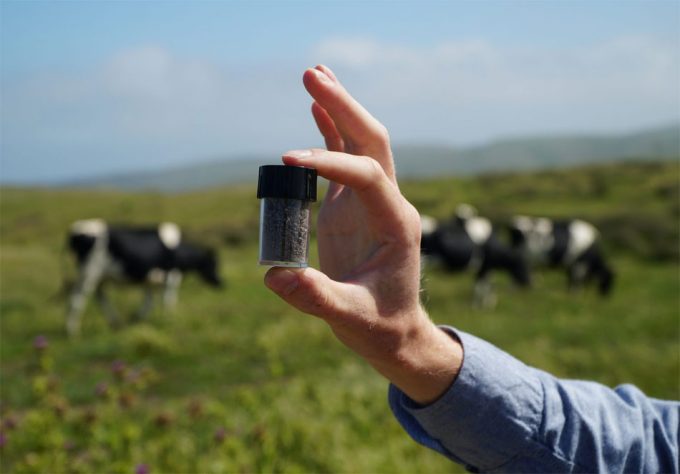 Derivado de la alga Asparagopsis taxiformis