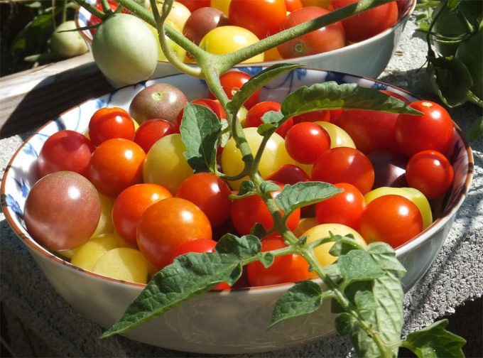 Los europeos quieren alimentos más sostenibles Transición Hacia una alimentación sostenible