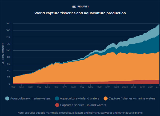 Informe sobre la pesca y la acuicultura de la FAO