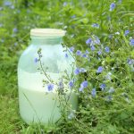 Bacterias resistentes a los antibióticos en la leche