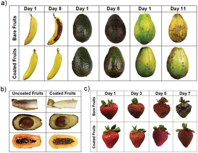 Proteínas de huevo para extender la vida útil de frutas y verduras