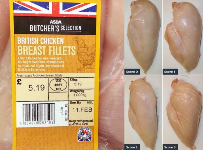 Calidad de la carne de pollo