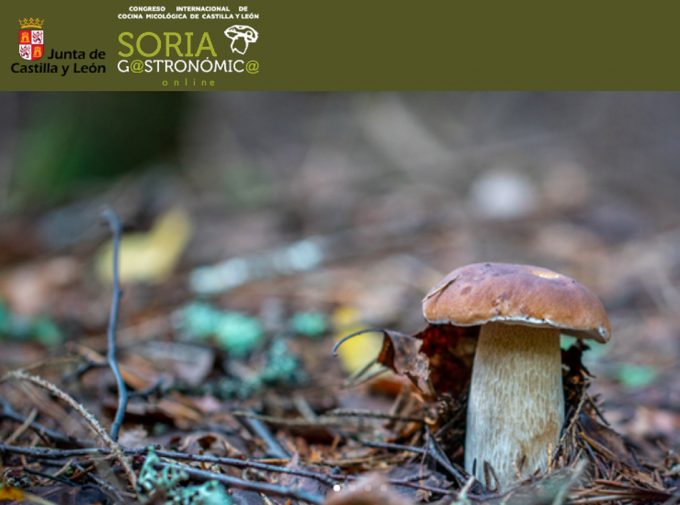 Programa de Soria Gastronómica