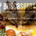 Jornadas gastro-micológicas