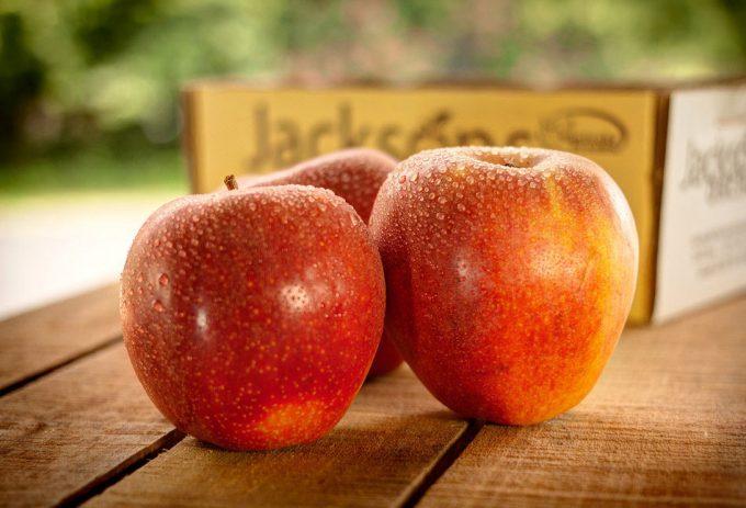 Estudio sobre las dietas saludables y su impacto en el medio ambiente