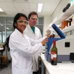 Detección del fraude en el vino