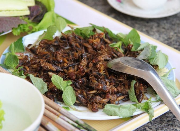 Nuevos alimentos con insectos comestibles