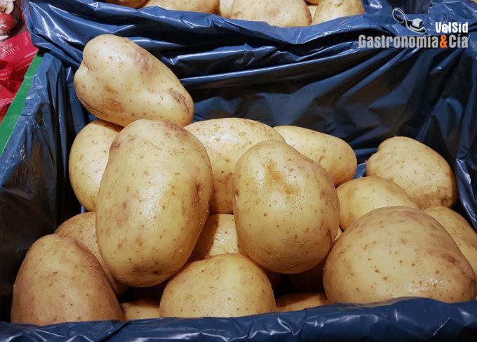 IPOD de diciembre 2020