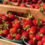 Conservar fresas