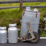 Mercado único de la Unión Europea