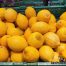 Precio de los limones en febrero de 2021