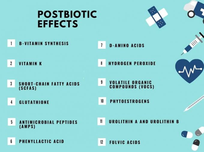 Beneficios de los postbióticos para el organismo