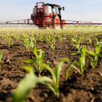 Plaguicidas en los alimentos de la UE