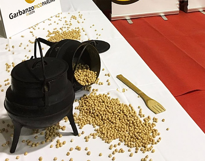 Garbanzo del cocido maragato