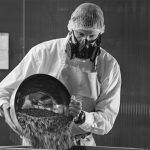 Tenebrio molitor o gusano de la harina