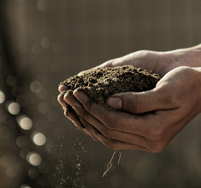 Programa del congreso