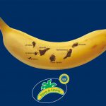 Etiqueta nutricional