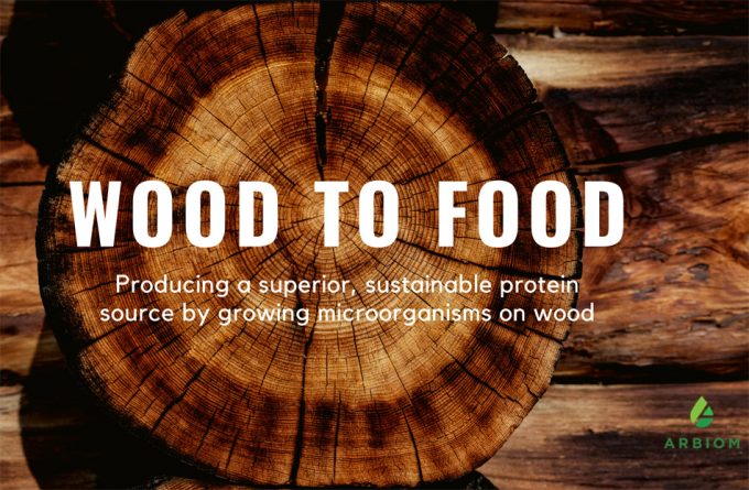 Proteínas alimentarias obtenidas de la madera