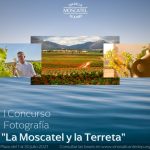 Convocatoria DOP Alicante