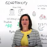 Seguridad alimentaria