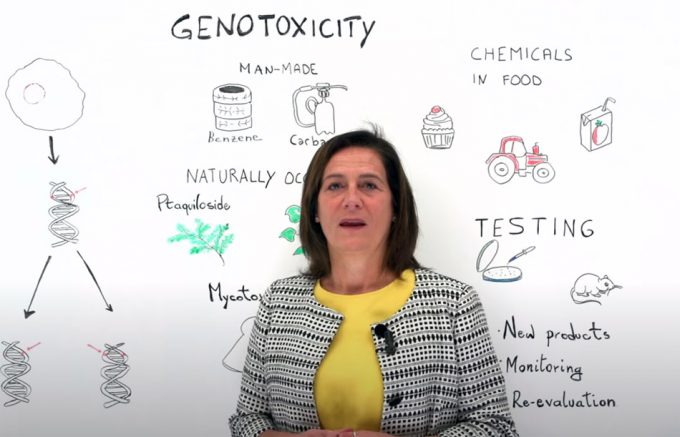 Seguridad alimentaria