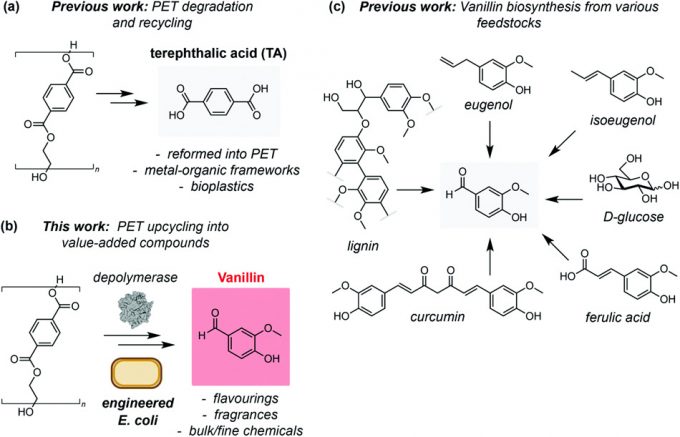Extracto de vainilla artificial