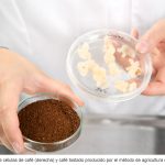 Café de laboratorio