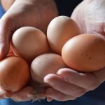 Huevos grandes de gallina