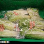 Lucha contra el desperdicio plástico