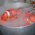 Mejorar la protección de cefalópodos y crustáceos en Reino Unido