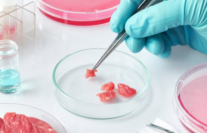Mejorar la aceptación de la carne a base de células