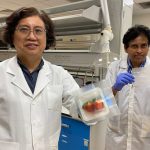 Ampliar la vida útil de los alimentos