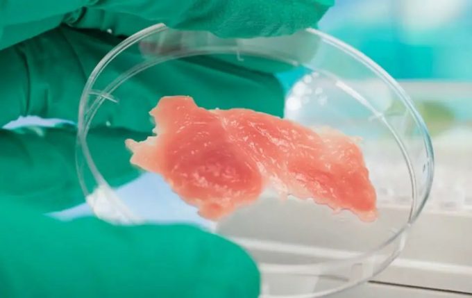 Carne a base de células 