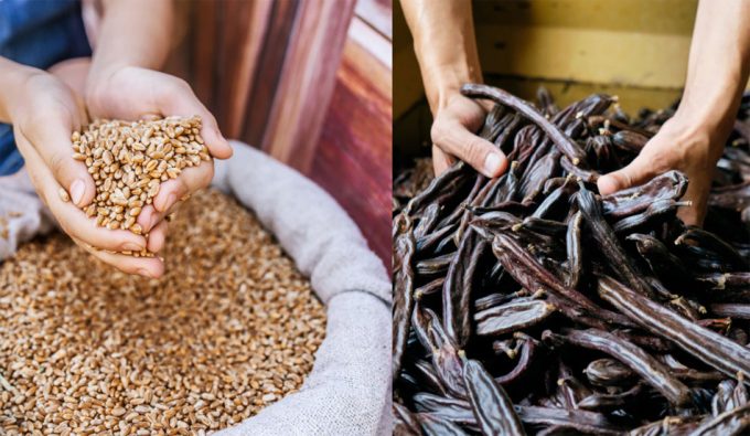 Alternativa al chocolate elaborada con cebada y algarroba Imitación al chocolate