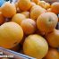 Precios de las naranjas en junio de 2022