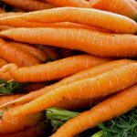 Como adquiere el ser humano la habilidad de saborear y oler