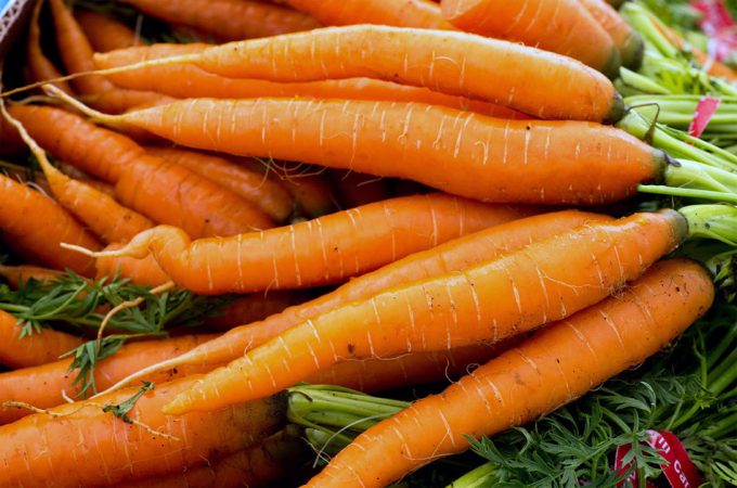 Como adquiere el ser humano la habilidad de saborear y oler