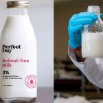 Perfect Day, leche de origen vegetal