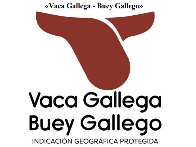 Vaca Gallega - Buey Gallego IGP