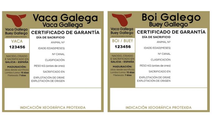 Vaca Gallega - Buey Gallego IGP Indicación Geográfica Protegida