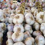 Especulación con el precio de los ajos